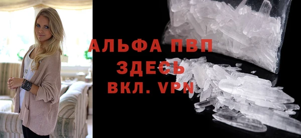 ПСИЛОЦИБИНОВЫЕ ГРИБЫ Осинники