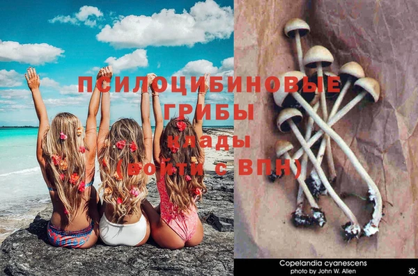 мяу мяу кристалл Алексеевка