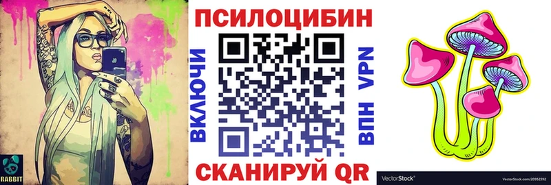Галлюциногенные грибы мицелий  OMG ONION  Чайковский 