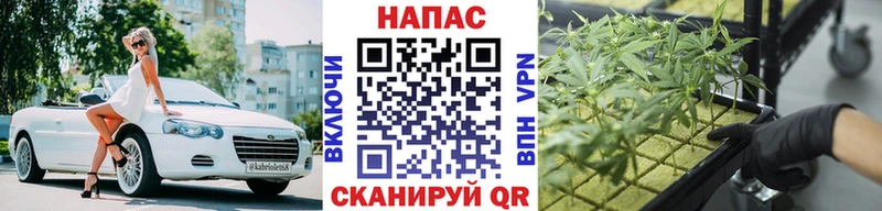 блэк спрут tor  Чайковский  МАРИХУАНА Amnesia 